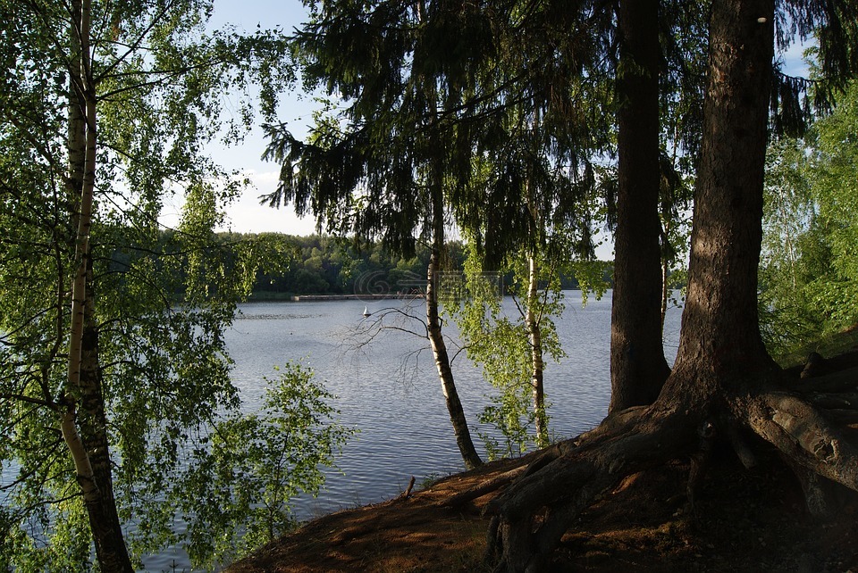 佩斯托沃水库,tishkovo,莫斯科地区