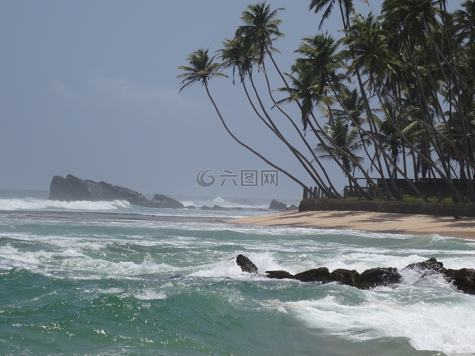 海滩,斯里兰卡,海边