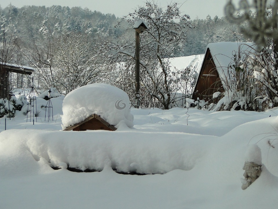 雪,花园,冬天