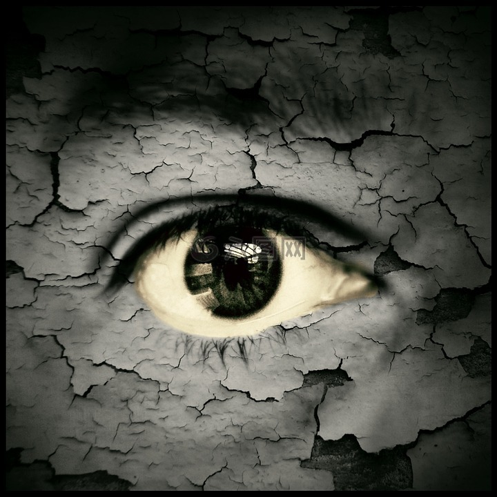 眼接球手,眼,请参阅