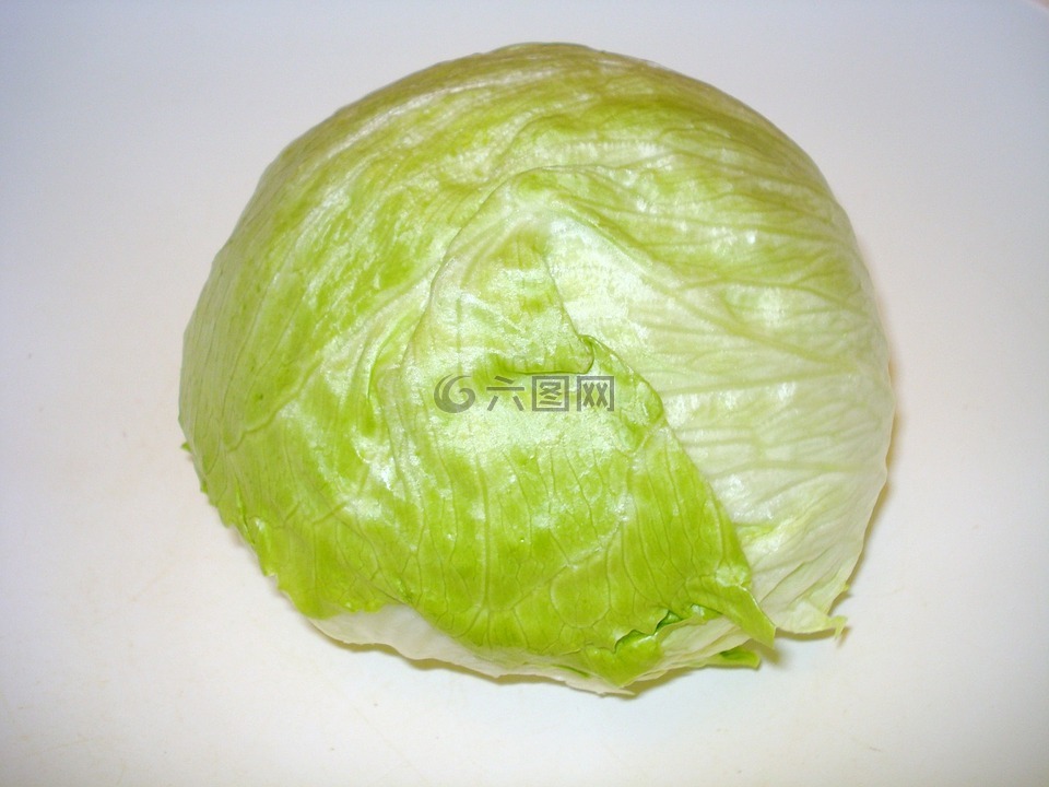 沙拉,冰山生菜,莴苣头