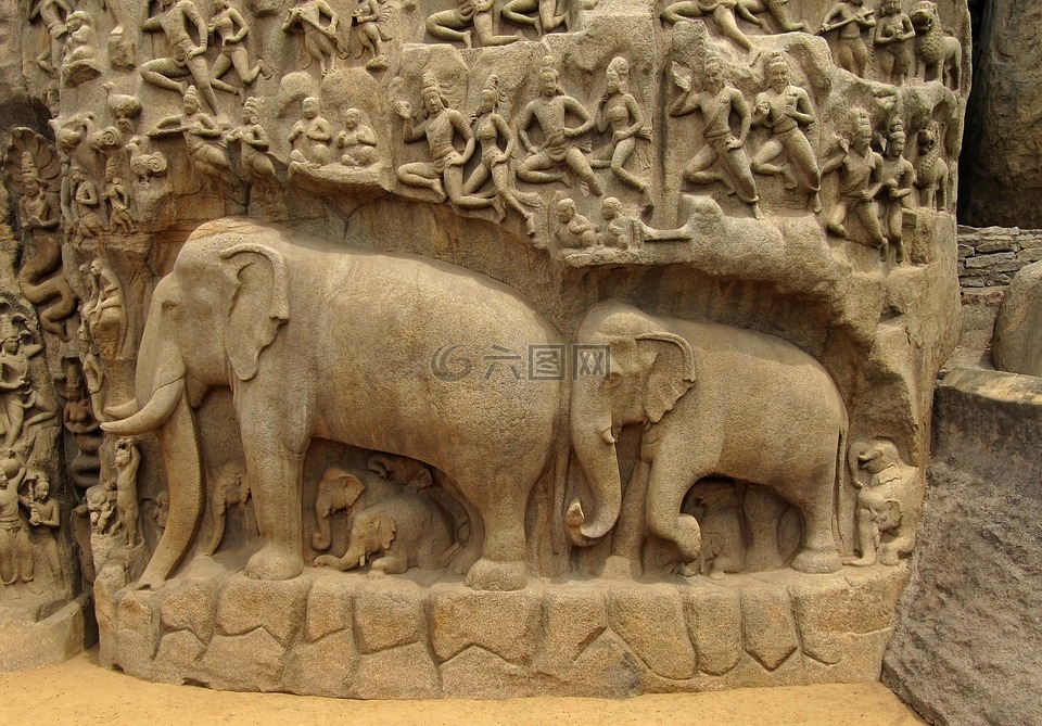 大象,bas 救济,印度