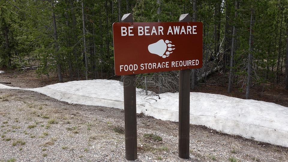熊,警告,警示标志
