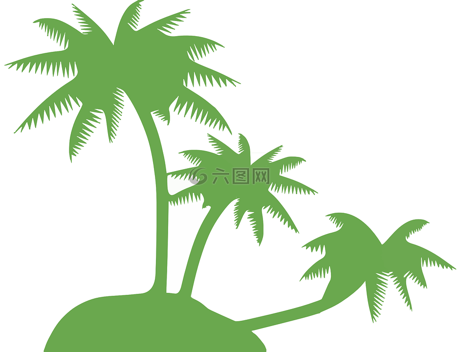椰子棕榈,棕榈树,树