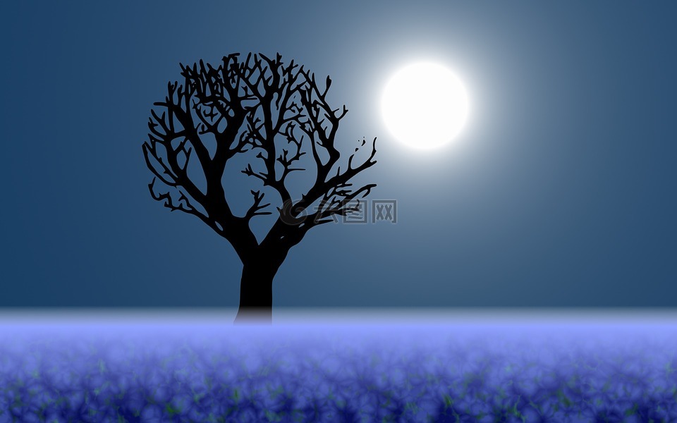 蓝色的晚上,月亮,鲜花