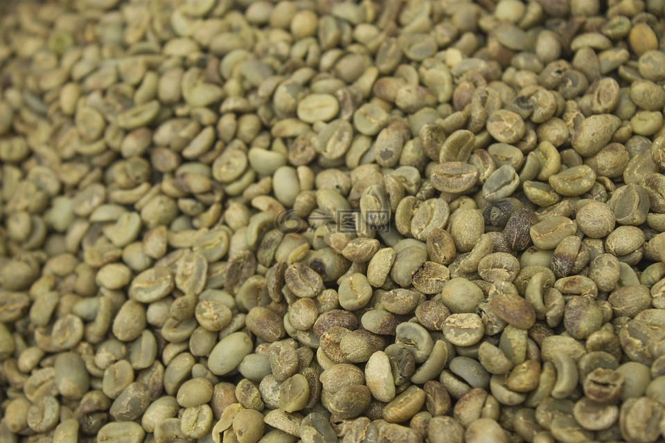 种子的咖啡，不在外壳、干燥,种子,咖啡