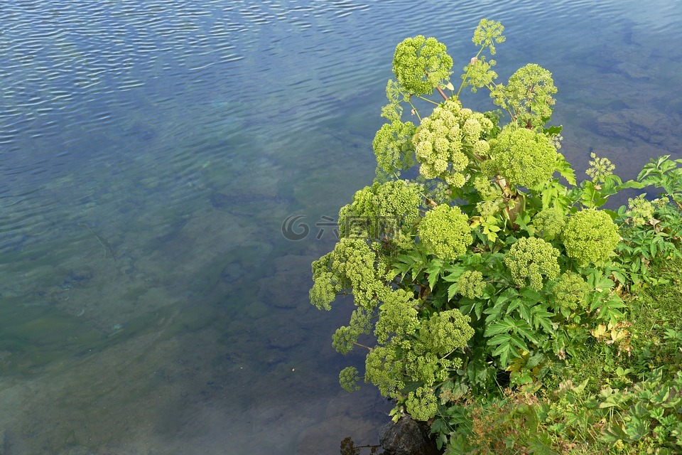 冰岛,辛格韦德利,景观