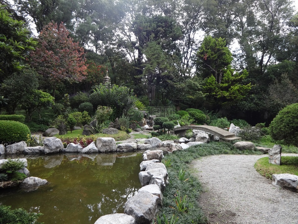 花园,日语,池塘