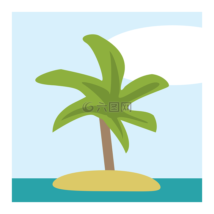 岛,热带,棕榈树