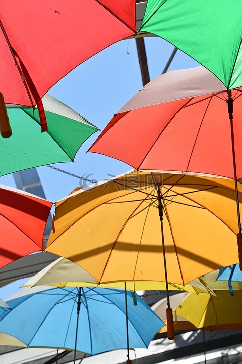 伞,多色,颜色