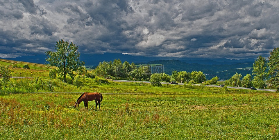 孤独的马,放牧的土地,暴风雨前