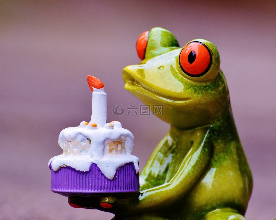 生日快乐,生日,青蛙