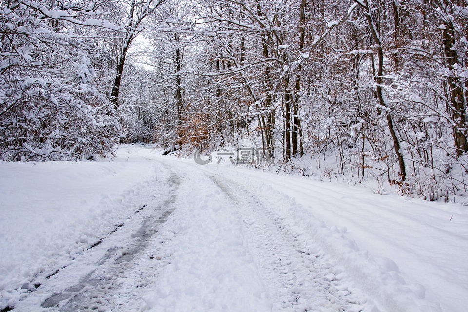 雪路,背景,雪