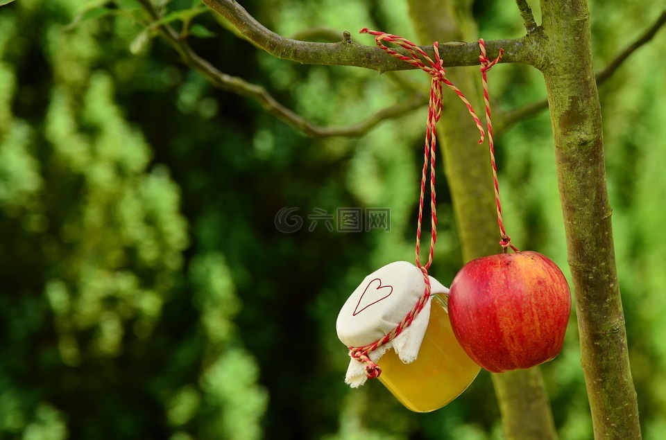 苹果树,苹果,苹果蜜饯