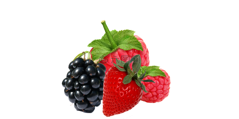 新鲜,浆果,黑莓