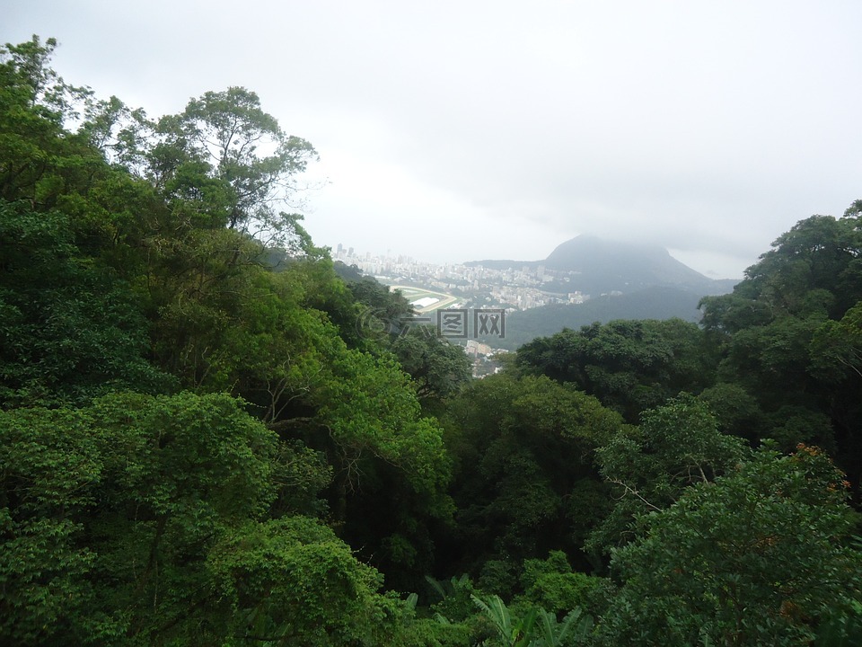 里约热内卢,绿色,科尔科瓦多