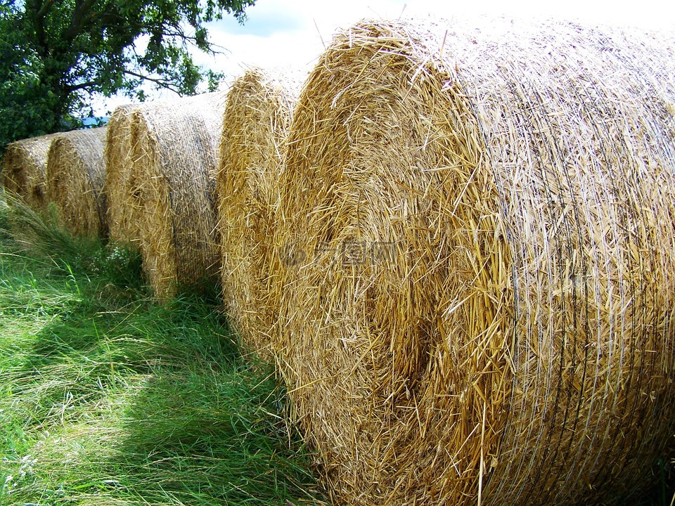 稻草包,潜在的 gabonaszár,乡村景观