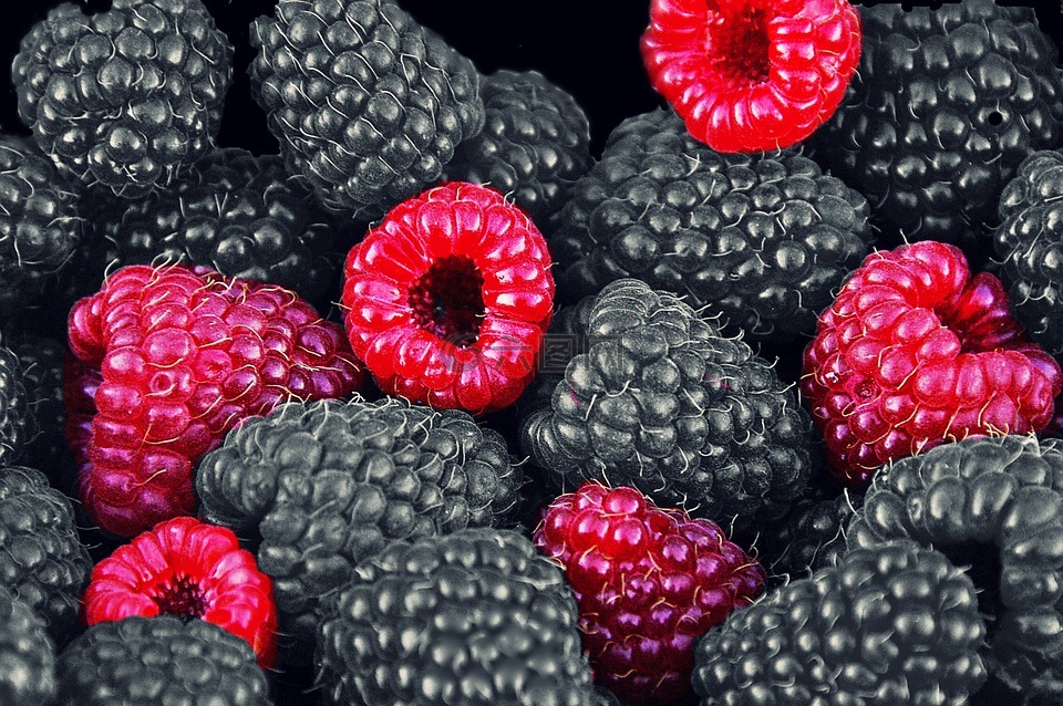 山莓,水果,浆果