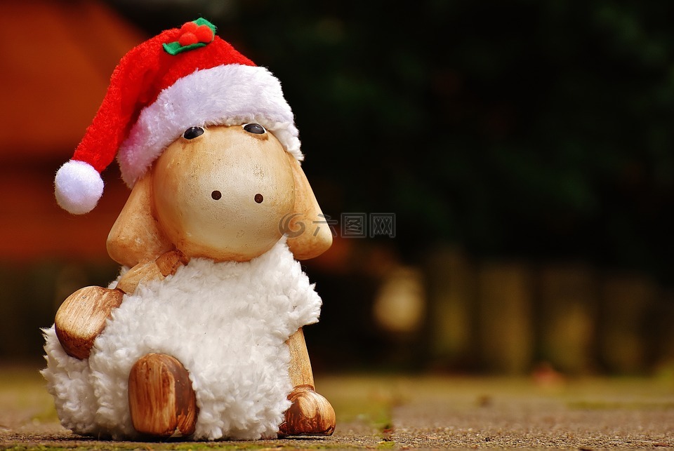 圣诞节,羊,德卡