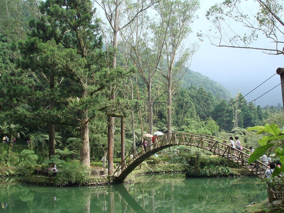 山林,溪頭,大學