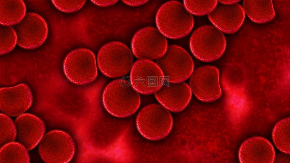 血,血液血浆,红血细胞