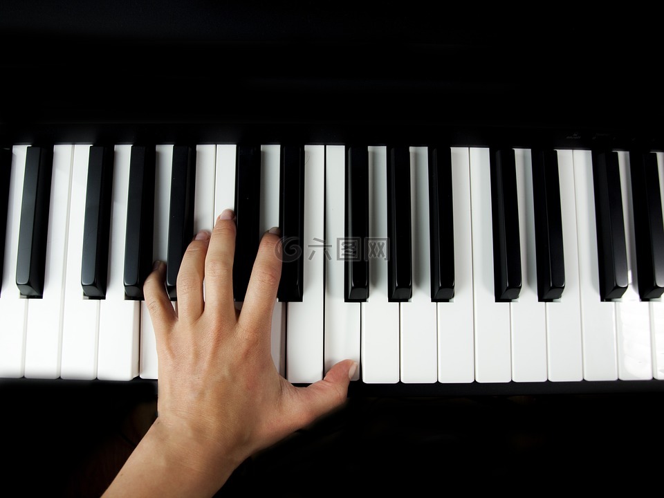 钢琴,键,键盘