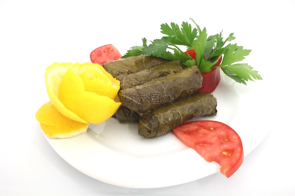 叶子,换行,开胃菜