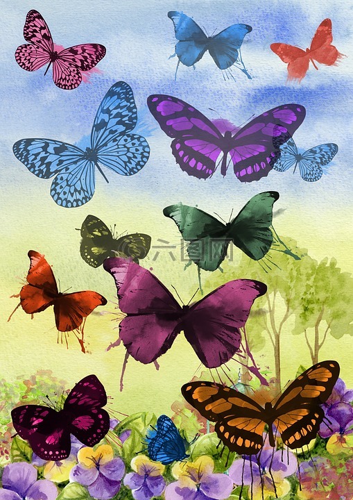 蝴蝶,画,艺术