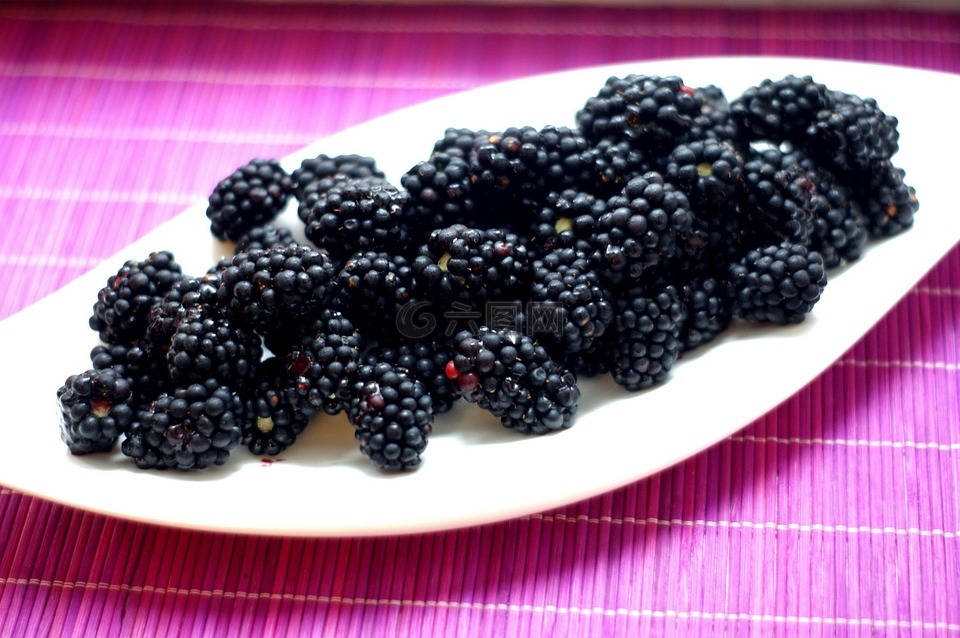 黑莓,野生浆果,浆果