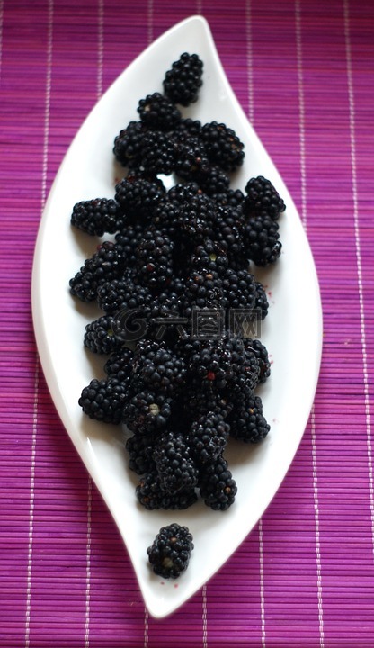 黑莓,野生浆果,浆果