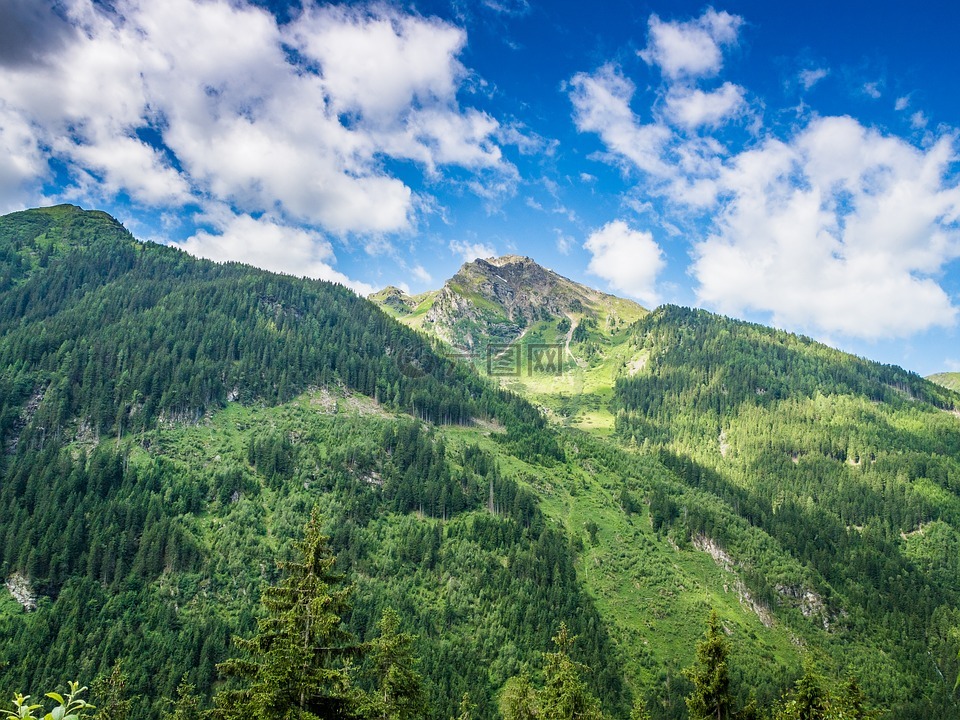 高山,景觀,性質