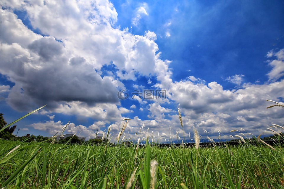 雲,草原,大自然