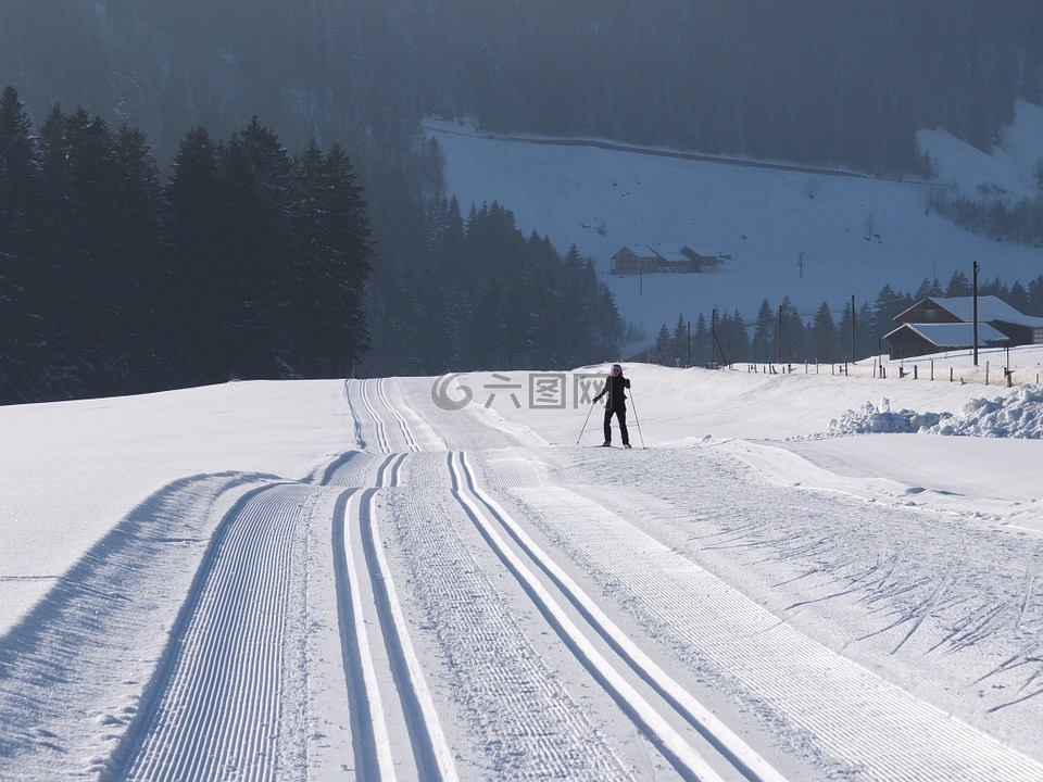 越野滑雪,冬天,径