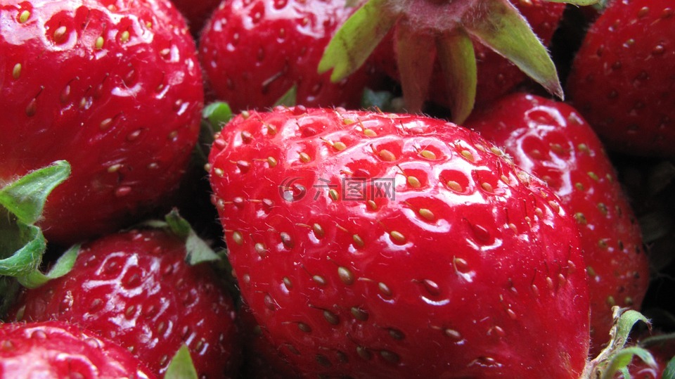 浆果,草莓,特写