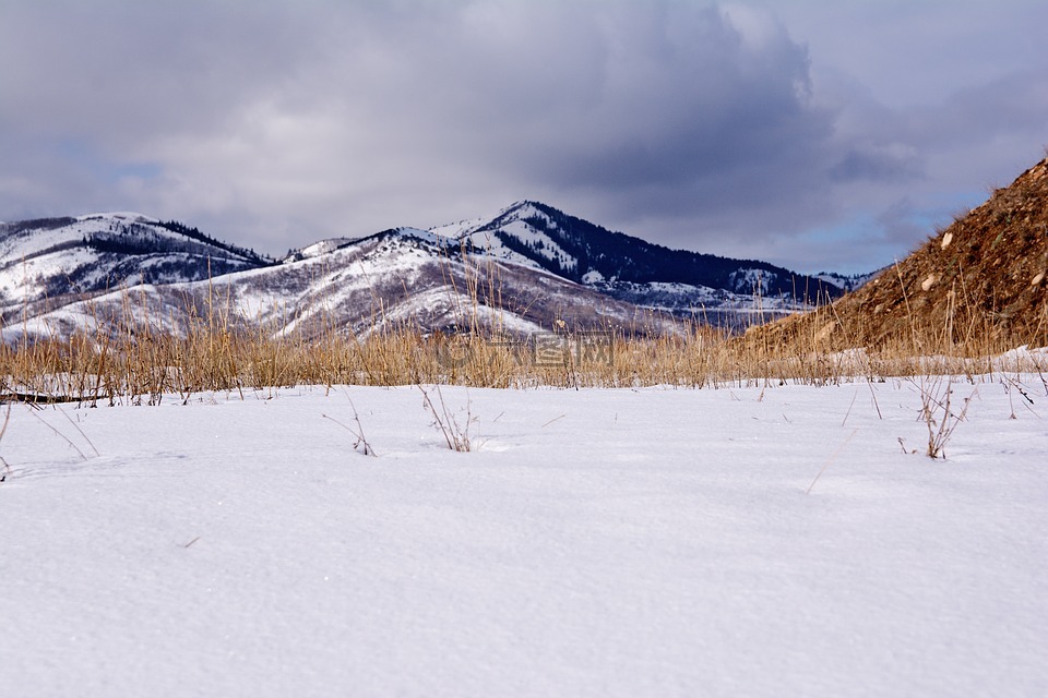 雪,山,犹他州