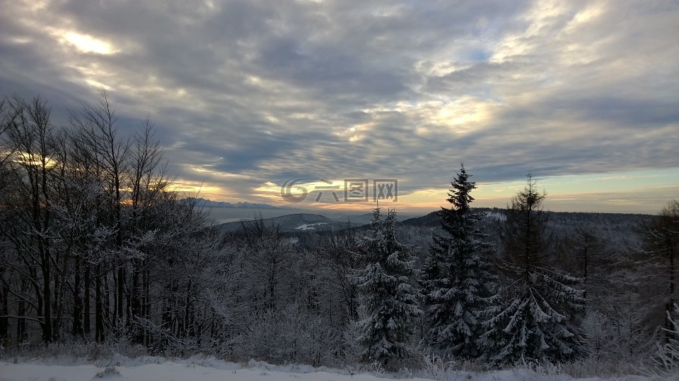 冬天,山,福雷斯特