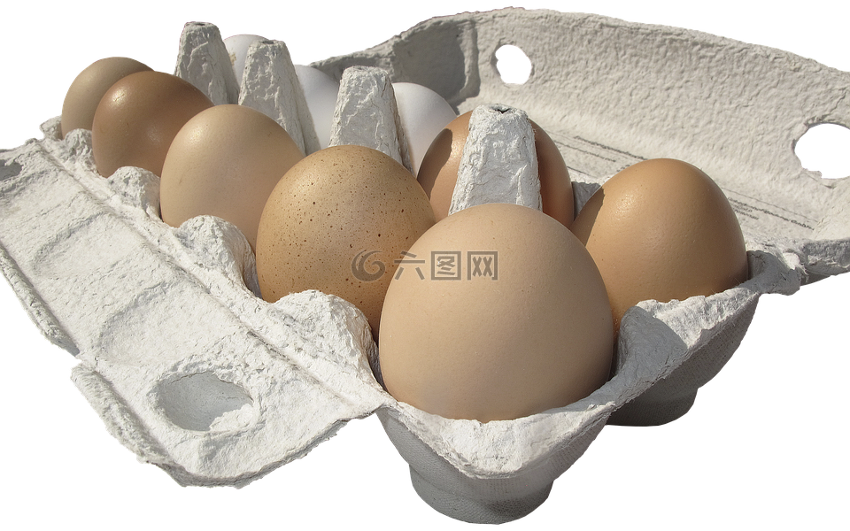 蛋,鸡蛋,鸡蛋盒