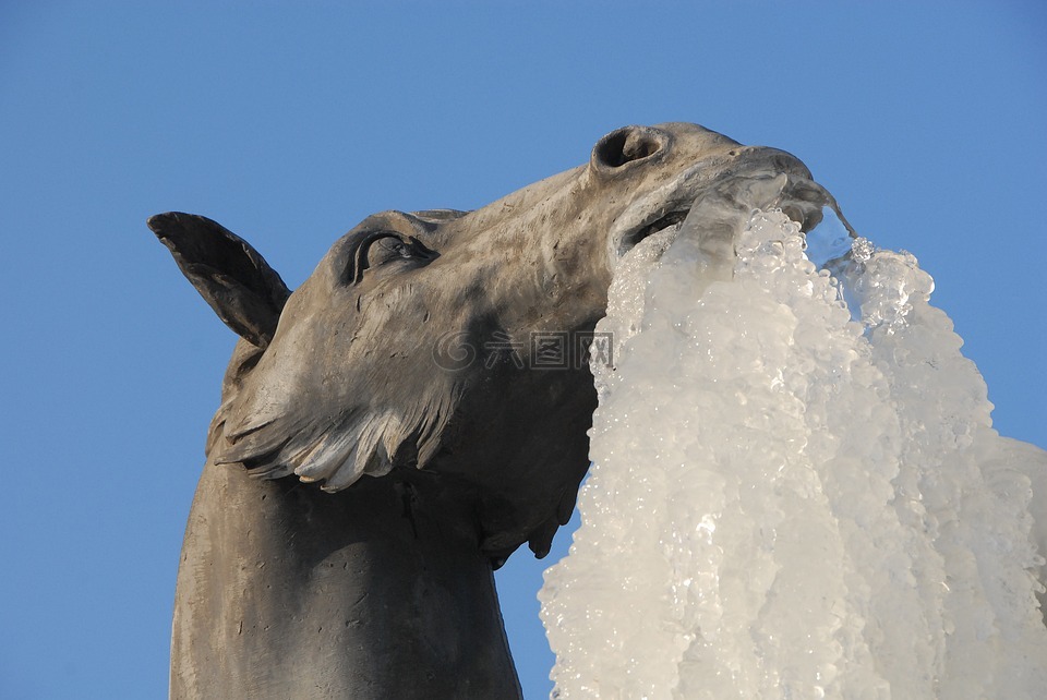 马,雕像,冰