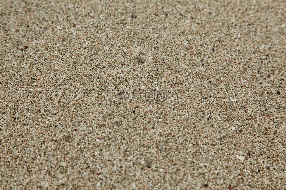 沙,沙灘,沙粒