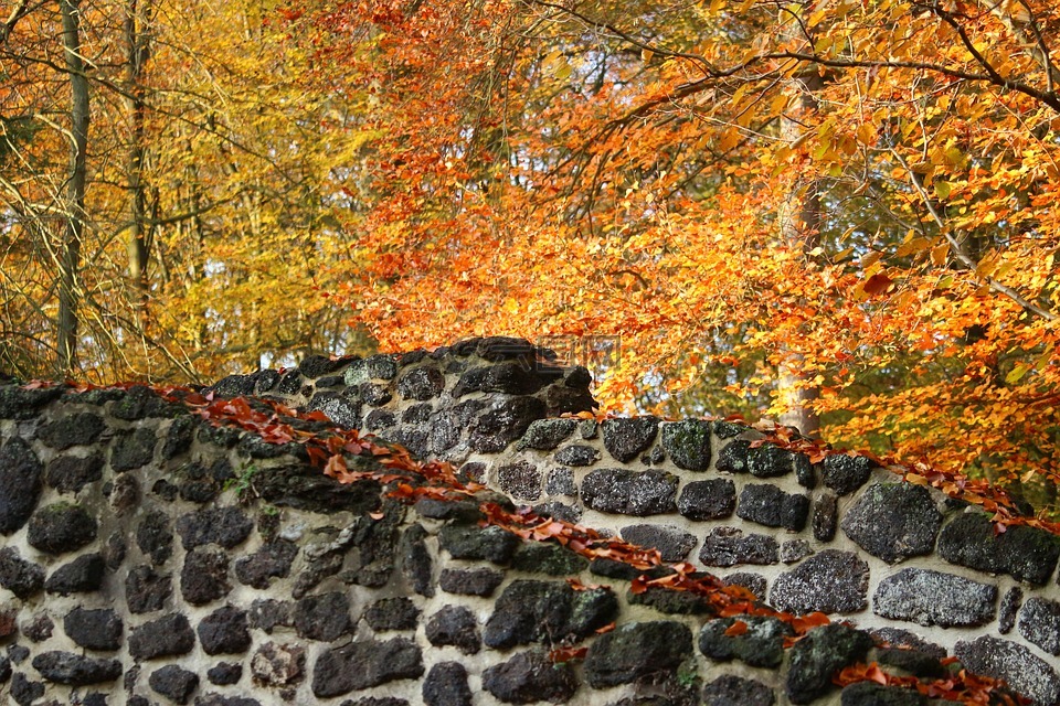秋季,墙,石丛生