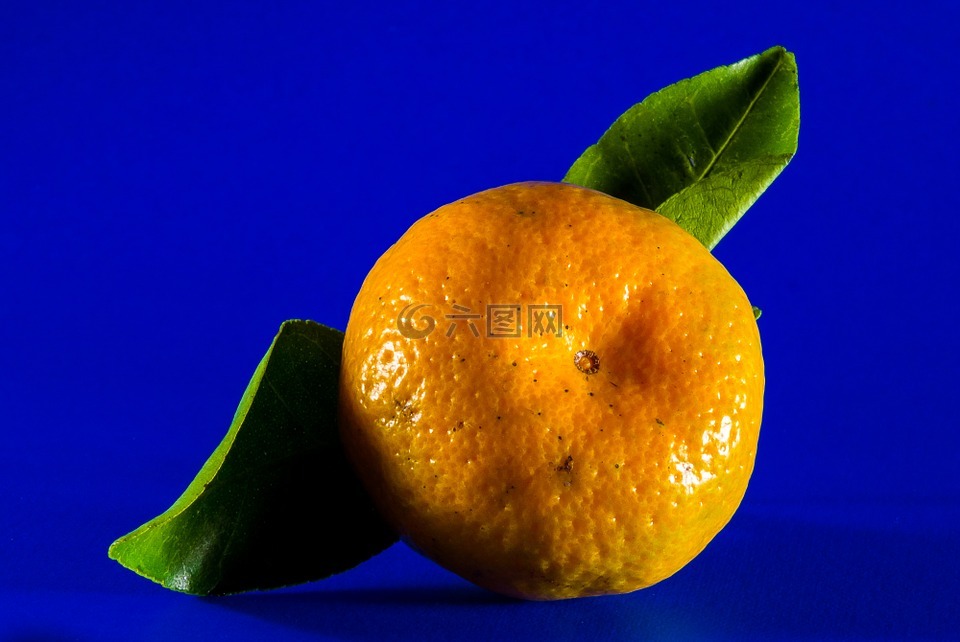 橙,普通话,水果