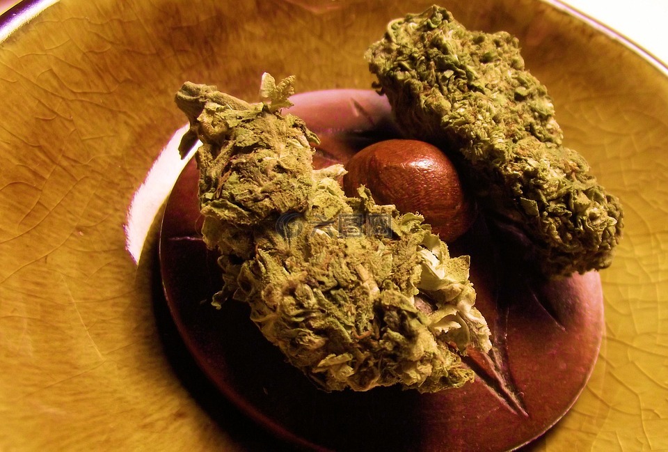 大麻,锅,种