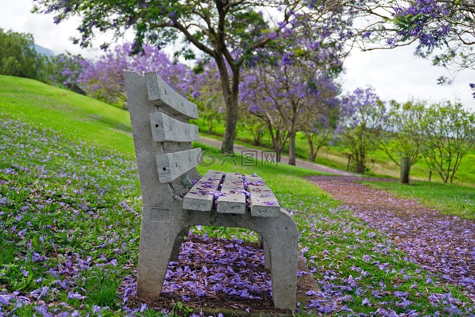 公园长椅,楹,紫色