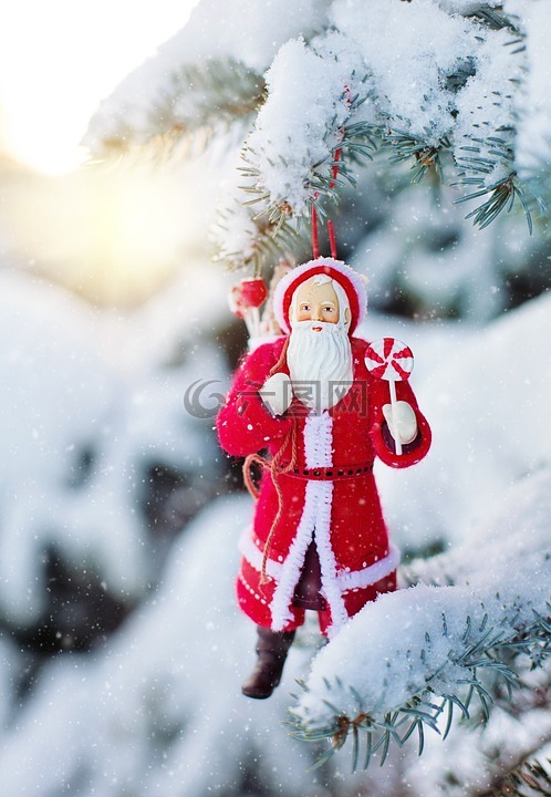 圣诞老人装饰,雪树,雪