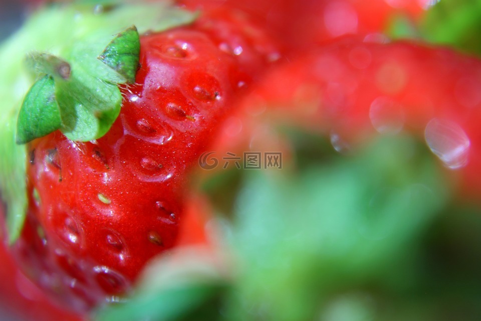 特写,草莓,水果