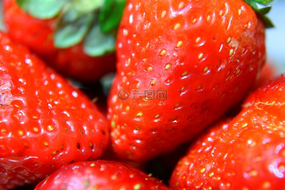 特写,草莓,水果