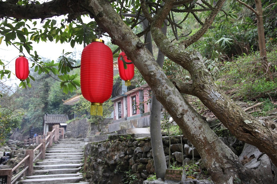 红灯笼,树,阶梯