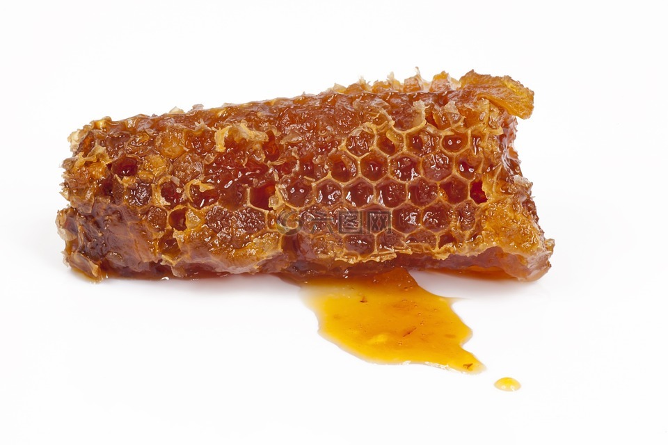 蜂窝状,蜂蜜,蜜蜂