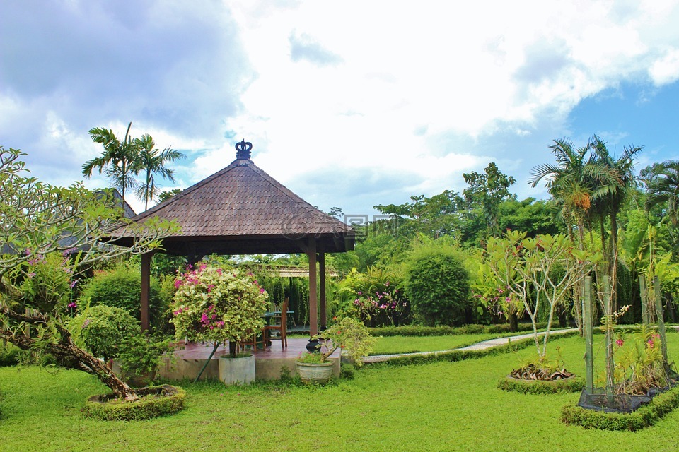 巴厘岛,兰花花园,植物区系