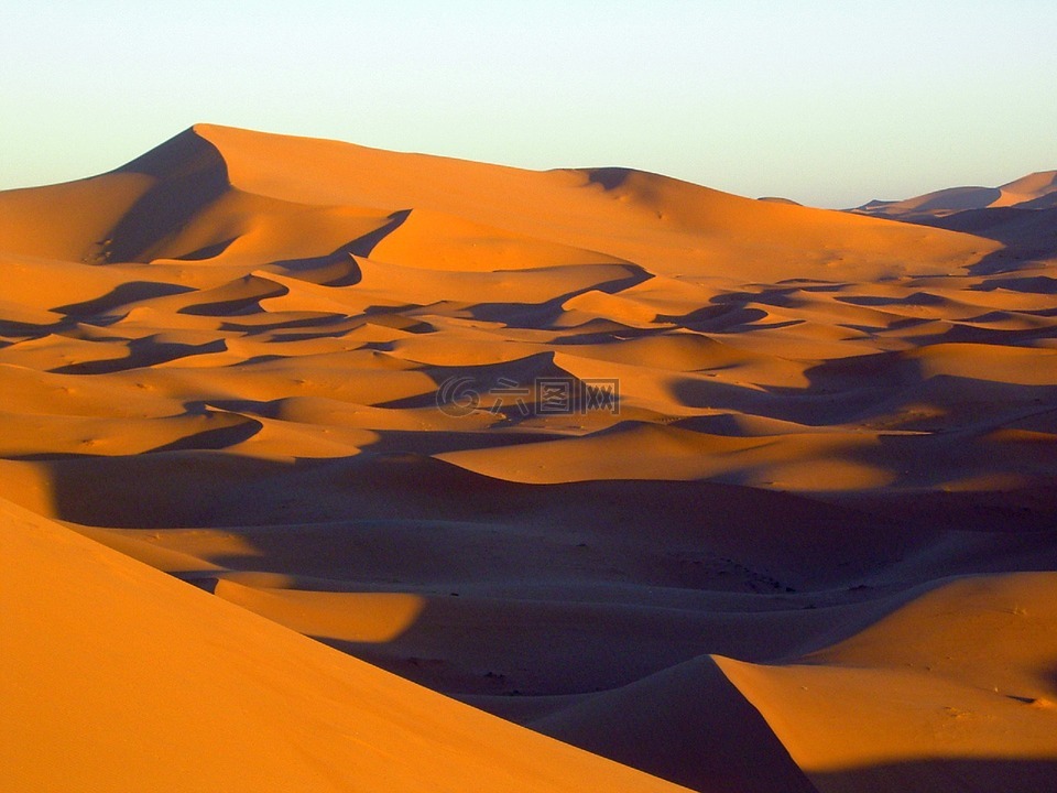 沙丘,阴影,景观